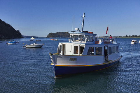 Cape Mackerel Cabin With Magic Palm Beach & Pittwater Views - Accommodation Fremantle 2