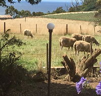 Cape View B and B - Accommodation Fremantle