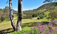 Book Capertee Accommodation Vacations Accommodation Fremantle Accommodation Fremantle