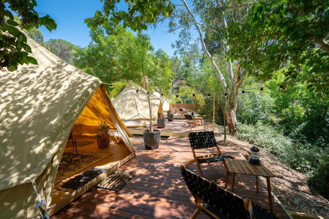 Castlemaine Gardens Luxury Glamping - Accommodation Fremantle 0
