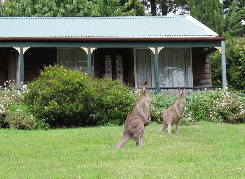 Mount Victoria NSW Accommodation Fremantle