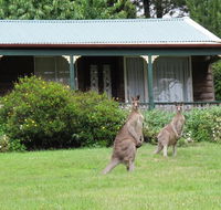 Cedar Lodge Cabins - Accommodation Fremantle