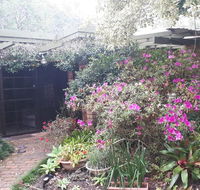 Charming country house close to Grafton - Accommodation Fremantle