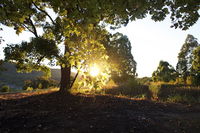 Book Possum Brush Accommodation Vacations Accommodation Fremantle Accommodation Fremantle