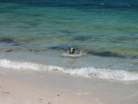 Close To The Myall River - Pet Welcome - Accommodation Fremantle 3