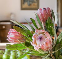 Cooee Cottage - Accommodation Fremantle
