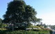 Cooroy Luxury Motel Apartments - thumb 2
