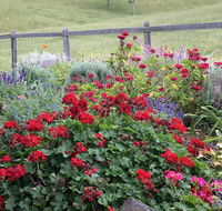 Country Mile Escape - Accommodation Fremantle