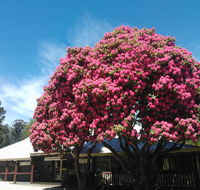 Crossways Country Inn - Accommodation Fremantle