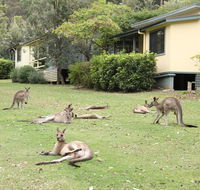 Depot Beach Cabins - Accommodation Fremantle