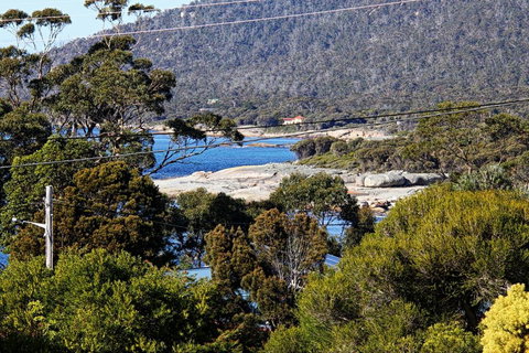 Douglas Street - Accommodation Fremantle 1