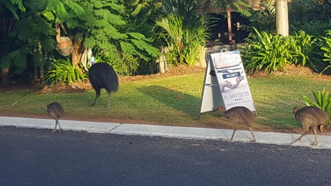 Driftwood Bed And Breakfast - Accommodation Fremantle 1
