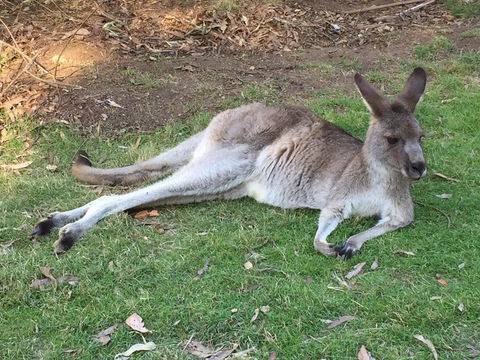 Eden Golf View Motel - Accommodation Fremantle 2