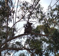 Escape to the Country - Enjoy the firepit or explore magical Bunya Mountains - Accommodation Fremantle