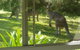 Forest View Bungalow - thumb 2