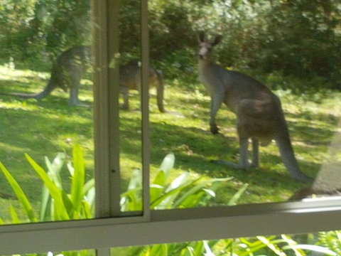 Forest View Bungalow - Accommodation Fremantle 2