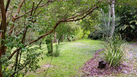 Forest View Bungalow - Accommodation Fremantle 1