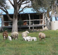 Gaddleen Grove Cottages - Accommodation Fremantle