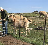 Gilgraves Vineyard Farmstay - Accommodation Fremantle
