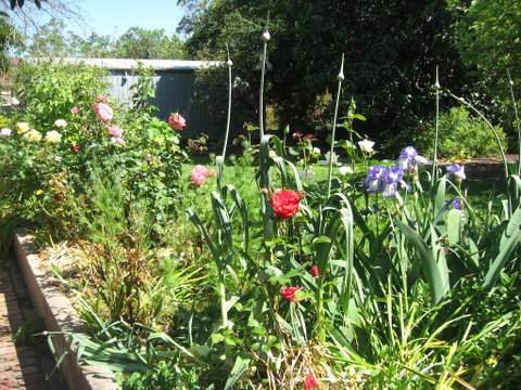 Goat Square Cottages - Accommodation Fremantle 2
