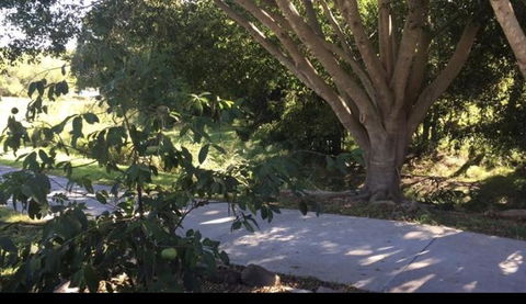 Handford Gardens - Accommodation Fremantle 2