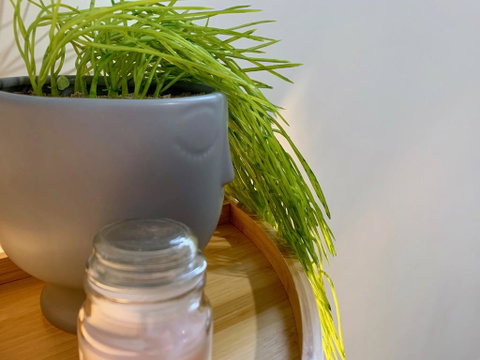 Homely Getaways In New Torquay - Accommodation Fremantle 2
