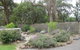 Honeyeater Cottage - thumb 0