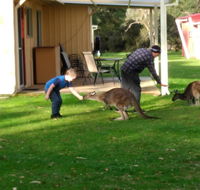 Kalgan River Chalets and Caravan Park - Accommodation Fremantle