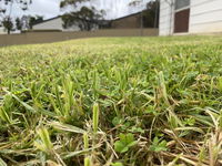 Book Karoonda Accommodation Vacations Accommodation Fremantle Accommodation Fremantle