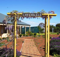 Lavendale Farmstay and Cottages York - Accommodation Fremantle