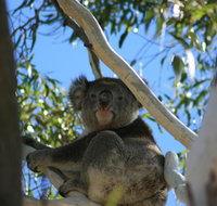 Levi Park Caravan Park - Accommodation Fremantle