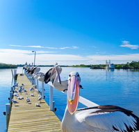 Moby Dick Waterfront Resort Motel - Accommodation Fremantle