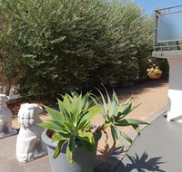 Mt.Lawley superb 2 BR Apartment Ideally located 5 - Accommodation Fremantle