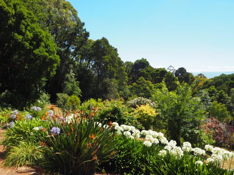 Murrindindi - Accommodation Fremantle 0