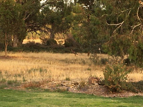 Murrord Wetlands - Accommodation Fremantle 3