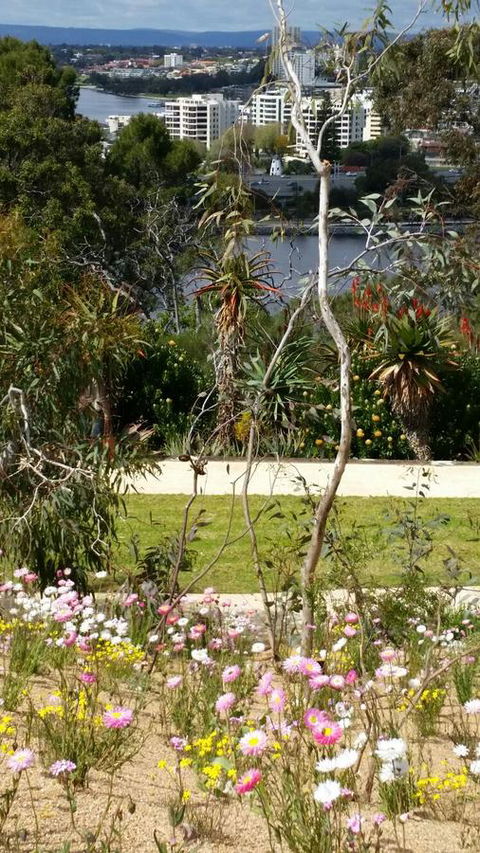 Dunes Scarborough Beach - Accommodation Fremantle 43