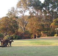 Riverside Retreat Chalets Walpole - Accommodation Fremantle