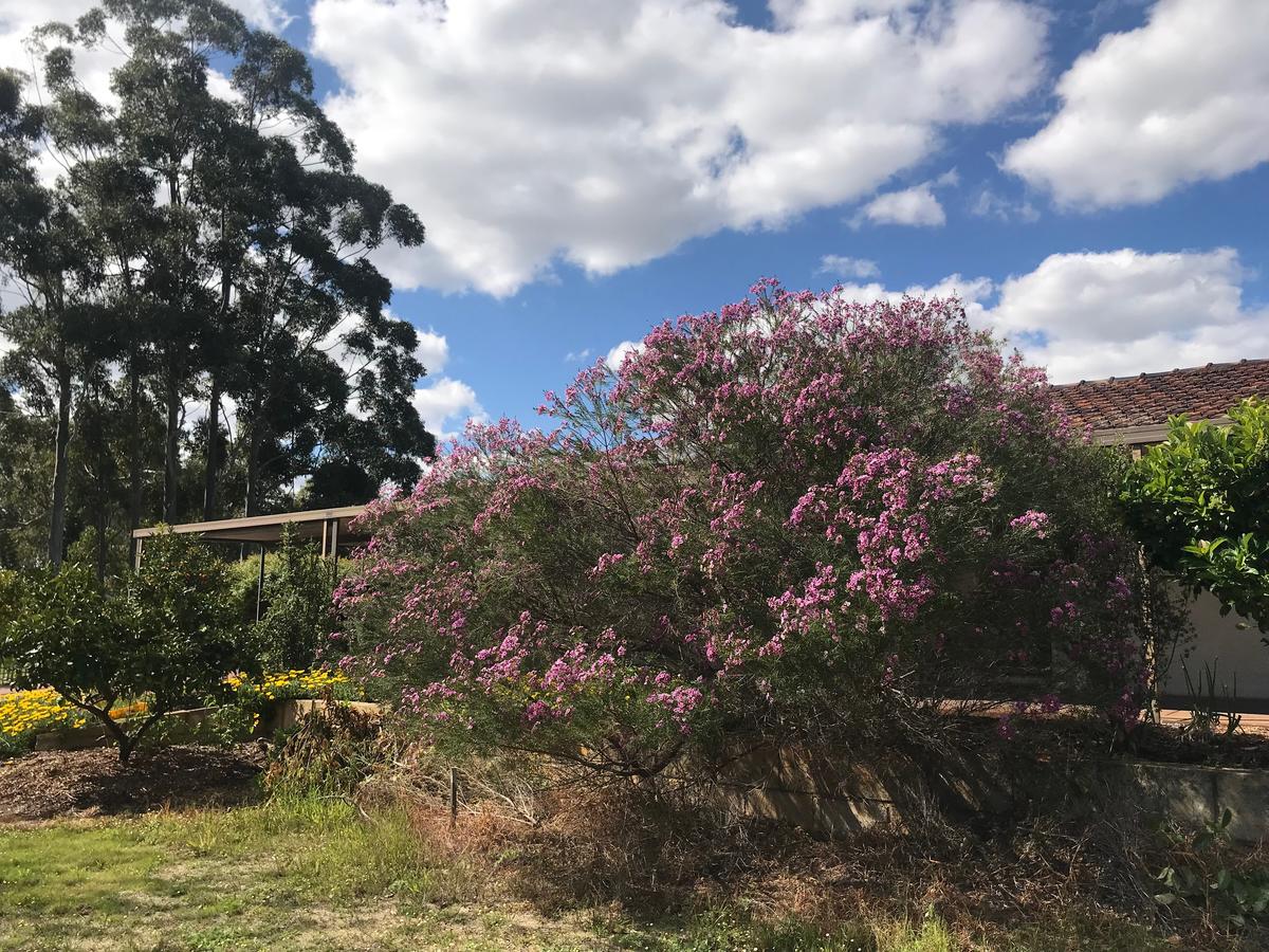  Accommodation Fremantle