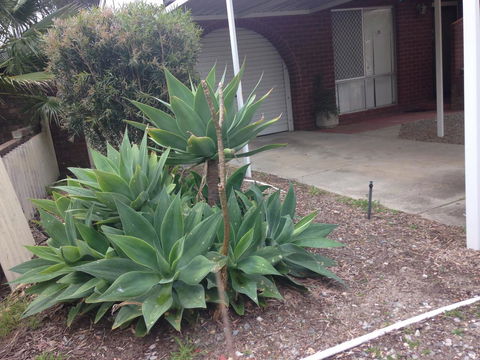 â˜… Stylish Family Home! â˜… - Accommodation Fremantle 2