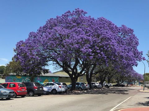 Gerring Court With Free 1 Car Bay Parking - Accommodation Fremantle 20