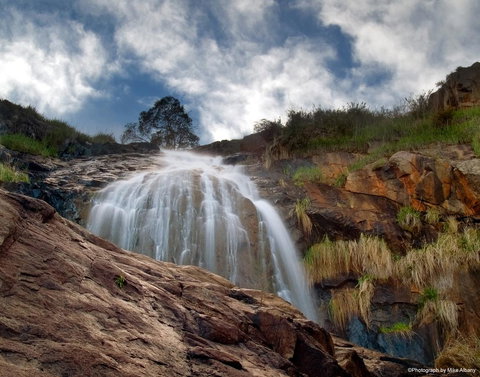 Banksia Tourist Park - Accommodation Fremantle 17