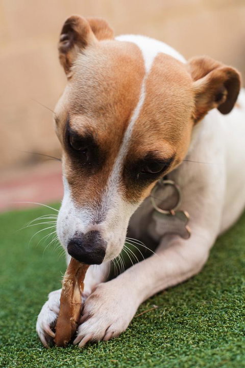 Banksia Tourist Park - Accommodation Fremantle 18