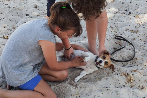 Banksia Tourist Park - Accommodation Fremantle 27