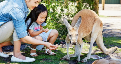 Banksia Tourist Park - Accommodation Fremantle 29