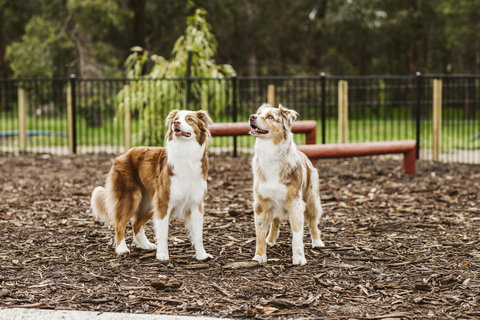 Banksia Tourist Park - Accommodation Fremantle 16