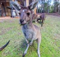 Yelverton Brook Eco Spa Retreat  Conservation Sanctuary - Accommodation Fremantle