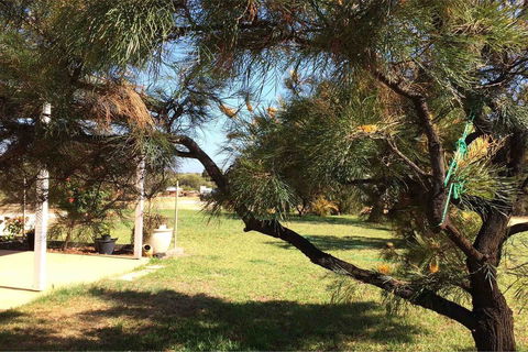 Ocean View Homestead - Accommodation Fremantle 23