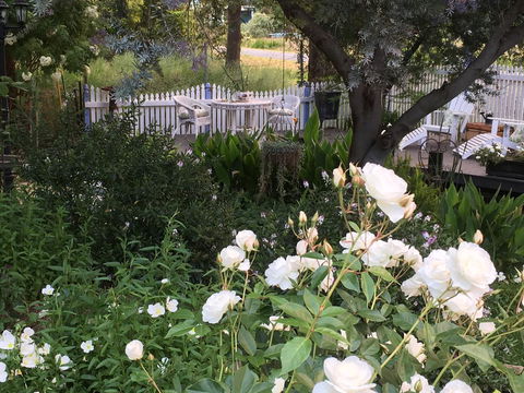 Applegate Lane Chalet - Accommodation Fremantle 22