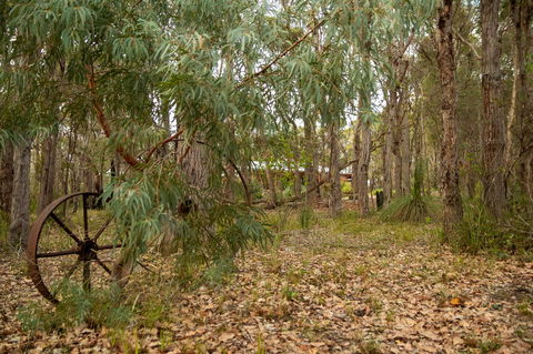 Denmark Forest Retreat - Accommodation Fremantle 5