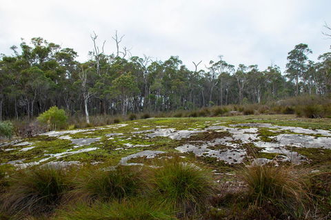 Denmark Forest Retreat - Accommodation Fremantle 26